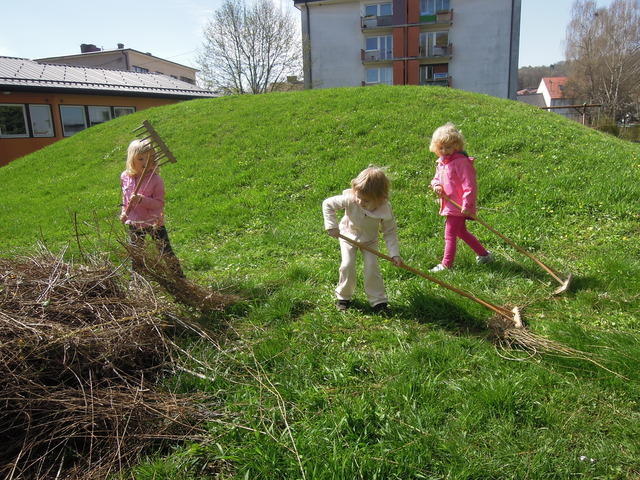 Grabljanje vejic na kup