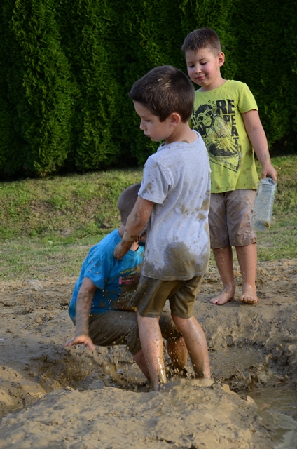 Zaključni piknik Radomerje (15)