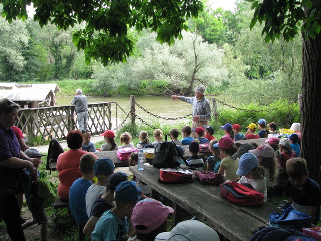 Ogled Babičevega mlina (8)