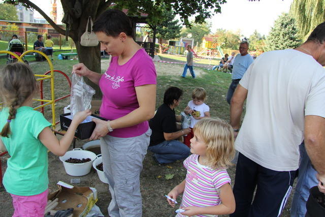 KOSTANJEV PIKNIK 2011 079