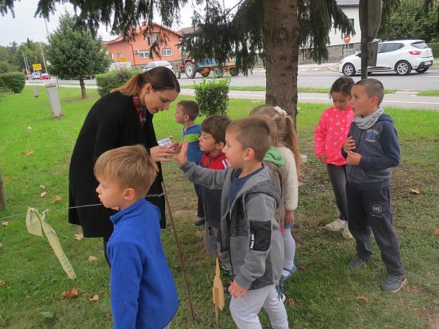 Teden mobilnosti - izvajanje različnih dejavnosti na trgu (plesne dejavnosti, palčkova pot,.. (14)