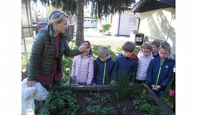 Ureditev in zasaditev zeliščnega vrta (24)