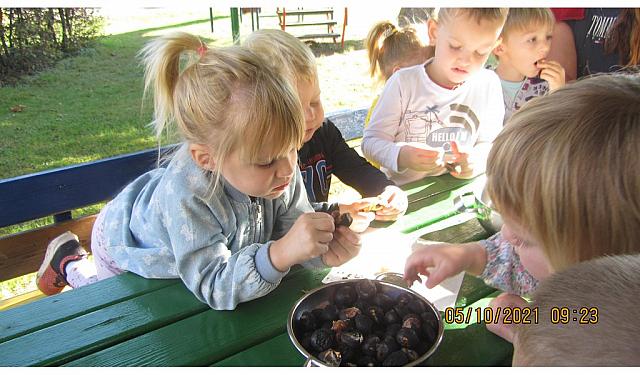 Kostanjev piknik+rajalne igre (2)