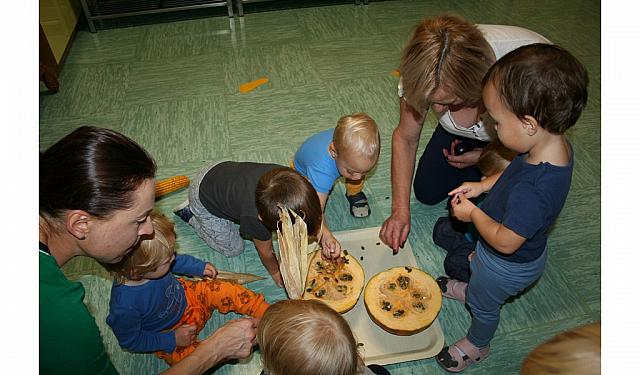 trebljenje buč (8)