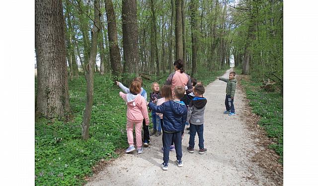 PRLEKI-Raziskujemo hraste, drevesa za zdravje (6)