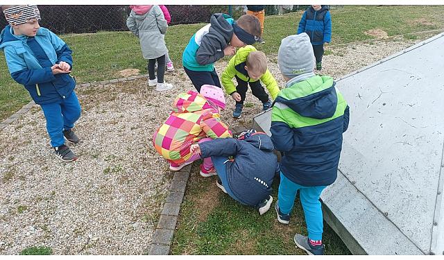 Pohod skupin otrok zvezdice in čebelice ter presenečenje velikonočnega zajčka (3)