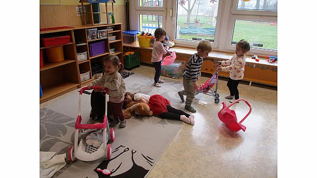 Dan druženja - sovice