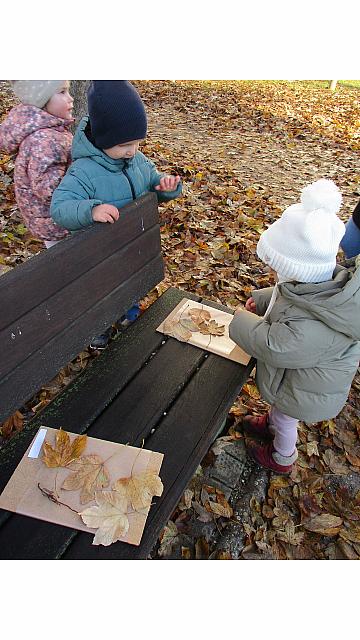 Zimska ... sovice (3)