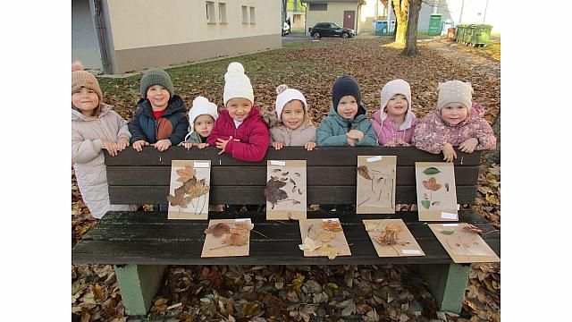 Zimska ... sovice (4)