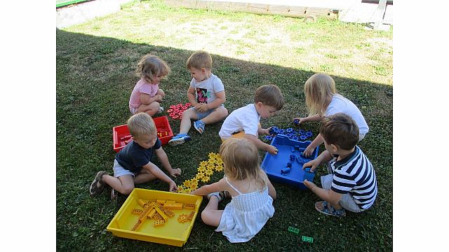 IMG 6232