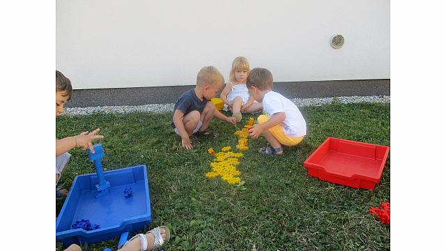 IMG 6246