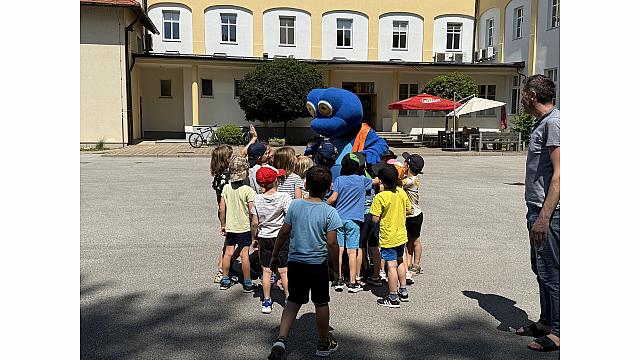 IMG 8008