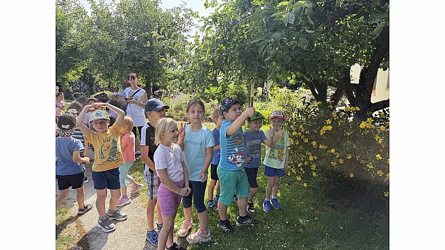 image00072