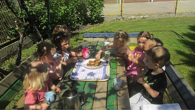 Nabiranje akacije in naredili palačinke iz njih (22)