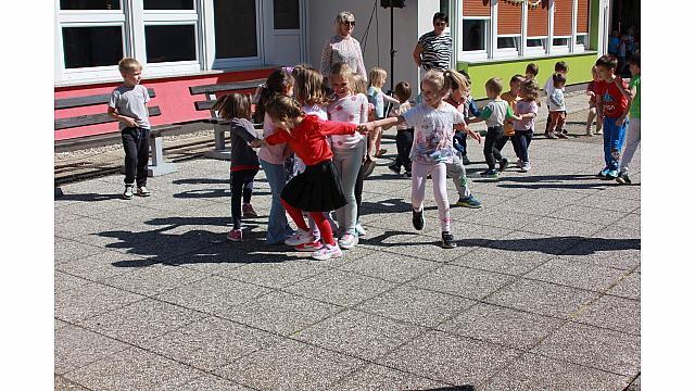 IMG 6537