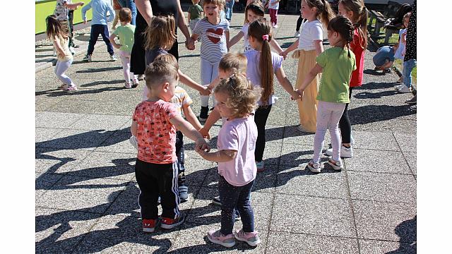 IMG 6549