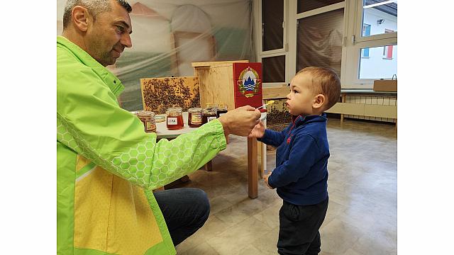 ČEBELAR-METULJI (1)