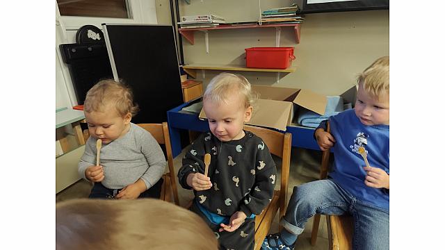 ČEBELAR-METULJI (5)