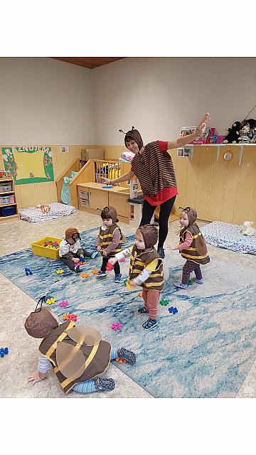 Čebelice - Mavrice, Orleki (5)