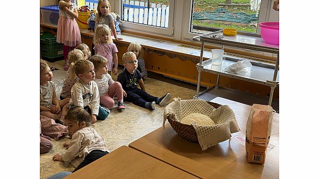 peka kruha (3) sovice, Pedenjpedi, lizike