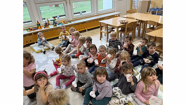 priprava sadno-mlečnega napitka (sovice, Pedenjpedi, lizike)(3)