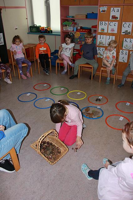 Gozdno-matematična igra (2)