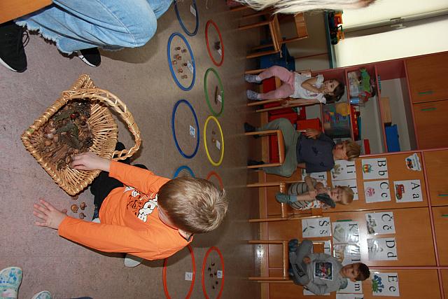 Gozdno-matematična igra (6)