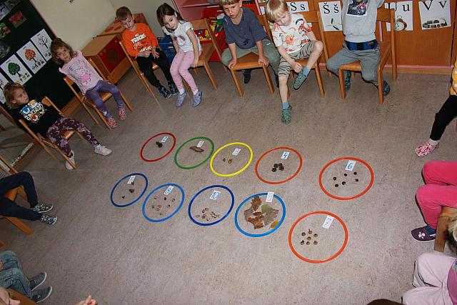 Gozdno-matematična igra (8)