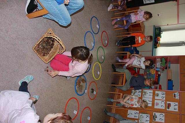 Gozdno-matematična igra (2)