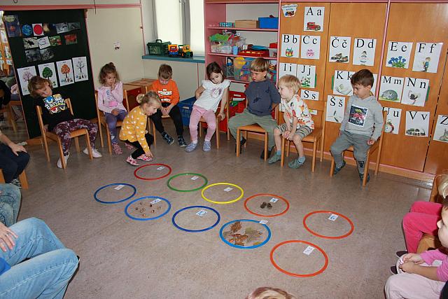 Gozdno-matematična igra (3)