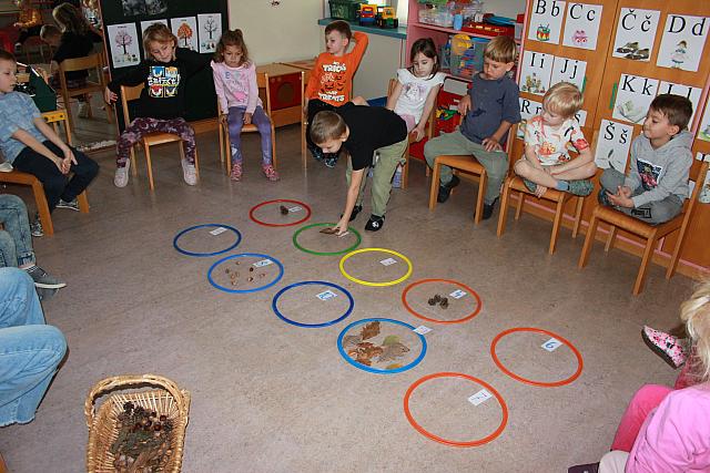 Gozdno-matematična igra (4)