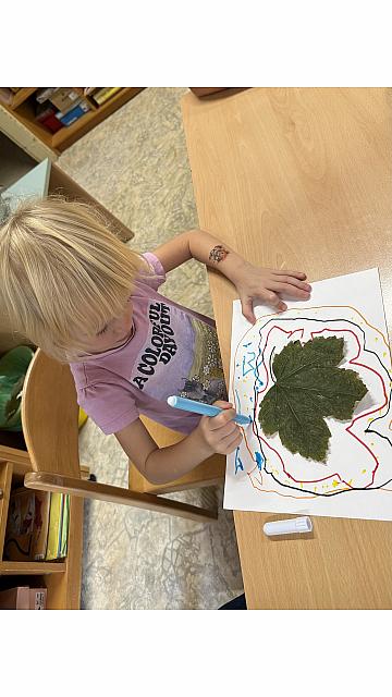 Lizike (3)
