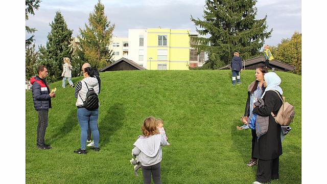 IMG 6979