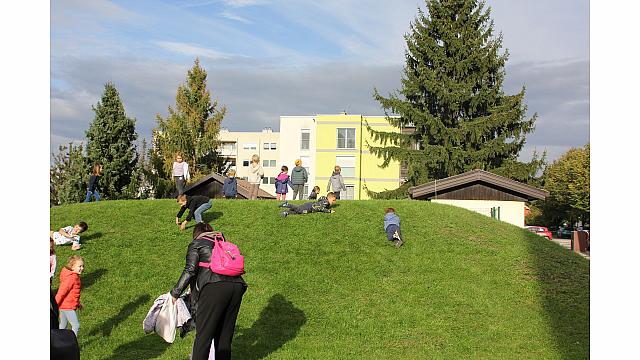 IMG 6983