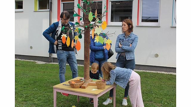 IMG 6997