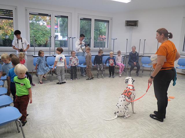IMG 7535