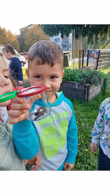 iskanje deževnika (11)