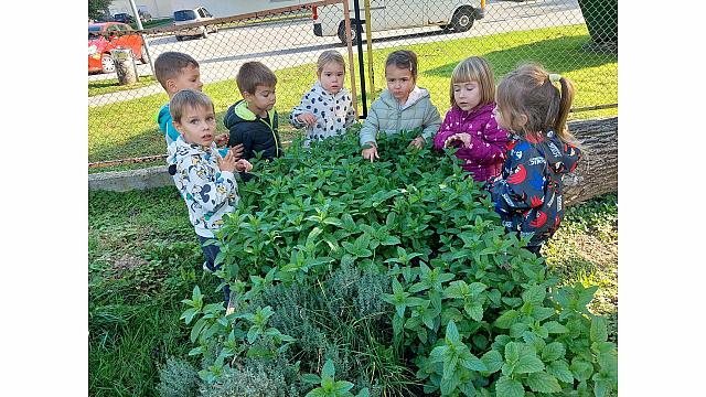 iskanje deževnika (3)