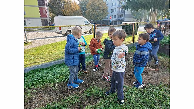 iskanje deževnika (4)