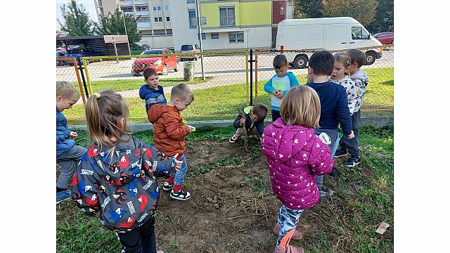 iskanje deževnika (8)