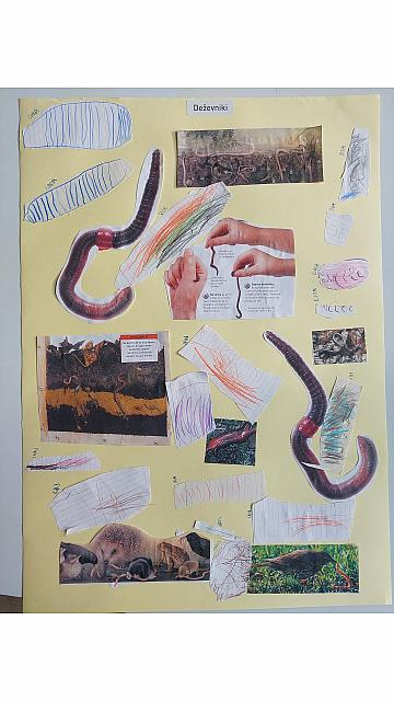 plakat deževnik (2)