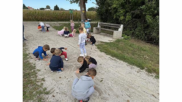 Pohod do hrasta, Lizike (1)