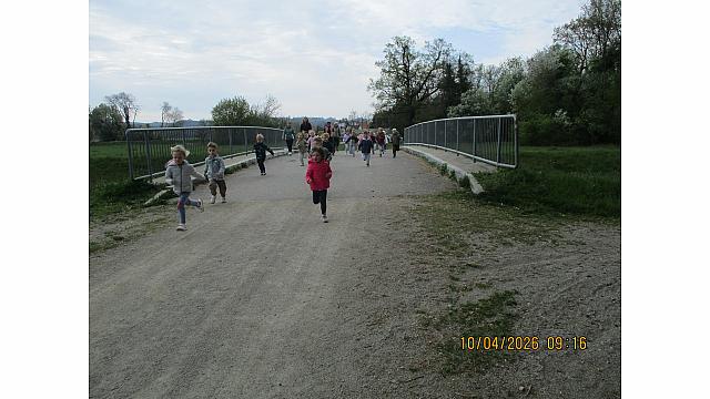 BABJI LOŽIČ - Pedenjpedi (3)