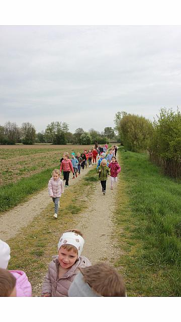 Dan zdravja - pohod (3) - ŽOGE