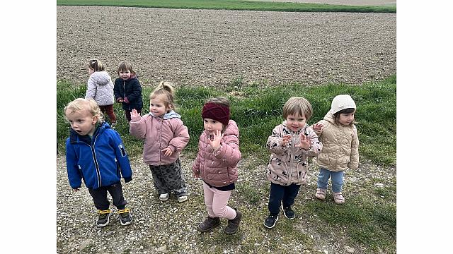 Pohod na polje-Metulji (2)