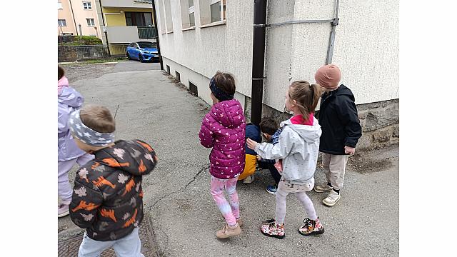 Lov na čokoladna jajčka (3)