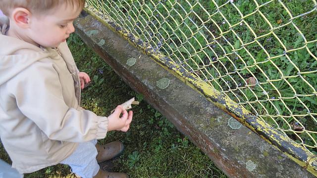 Čistilna akcija - Sončki (2)