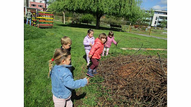 Čistilna akcija -Sovice (1)