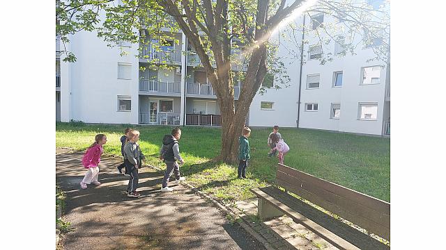 Čistimo okolico Muzikanti (1)