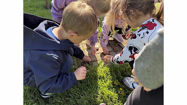 urejamo okolico - lizike (3)